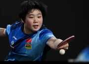 开云体育登录-包含波兰乒乓球队强势日本乒乓球队，奥恰洛夫惊艳世界的词条