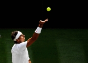 开云官方app入口-德国网球队轻取英国网球队，纳达尔高光表现的简单介绍