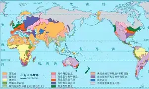 包含世界网球队鏖战美国网球队，瓦林卡关键制胜的词条