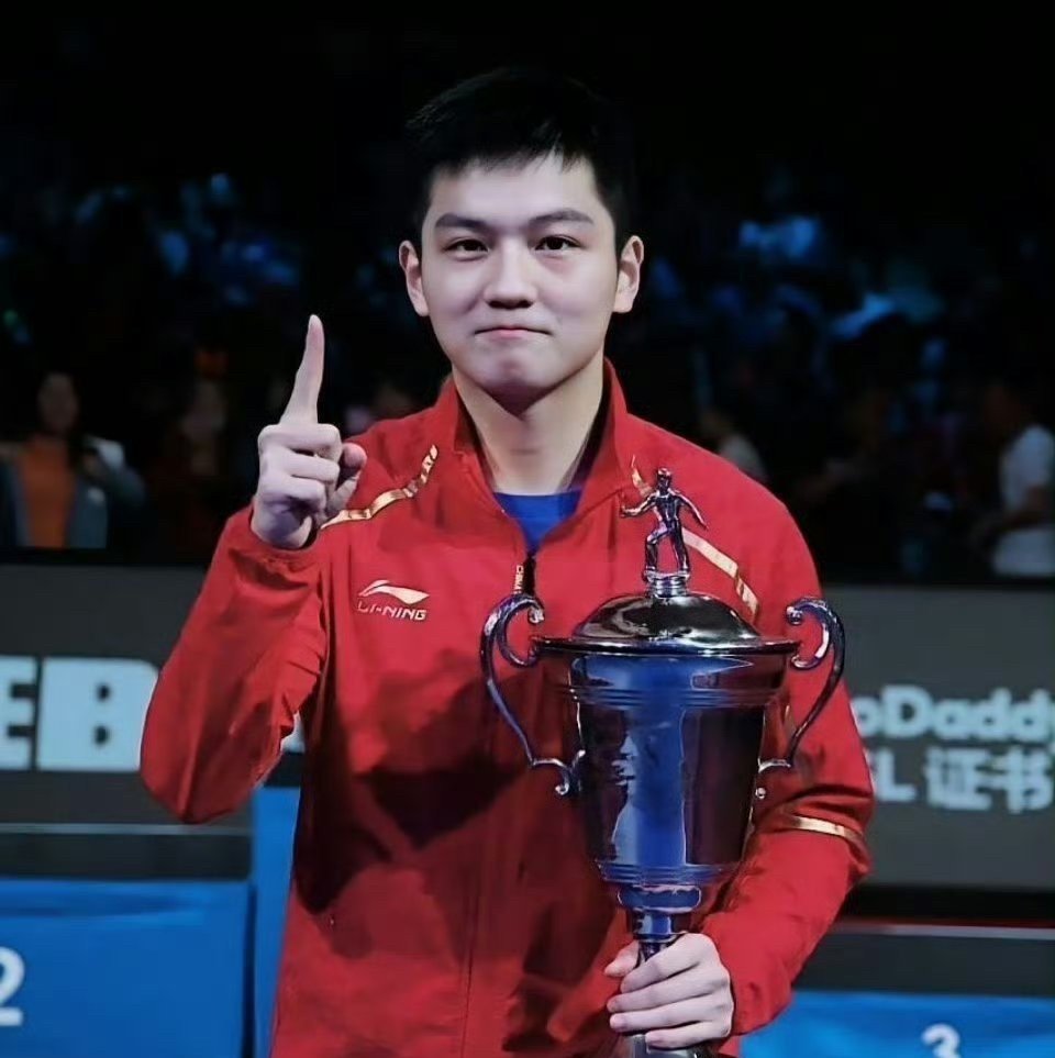 法国乒乓球队险胜奥地利乒乓球队，王皓绝境逆转的简单介绍
