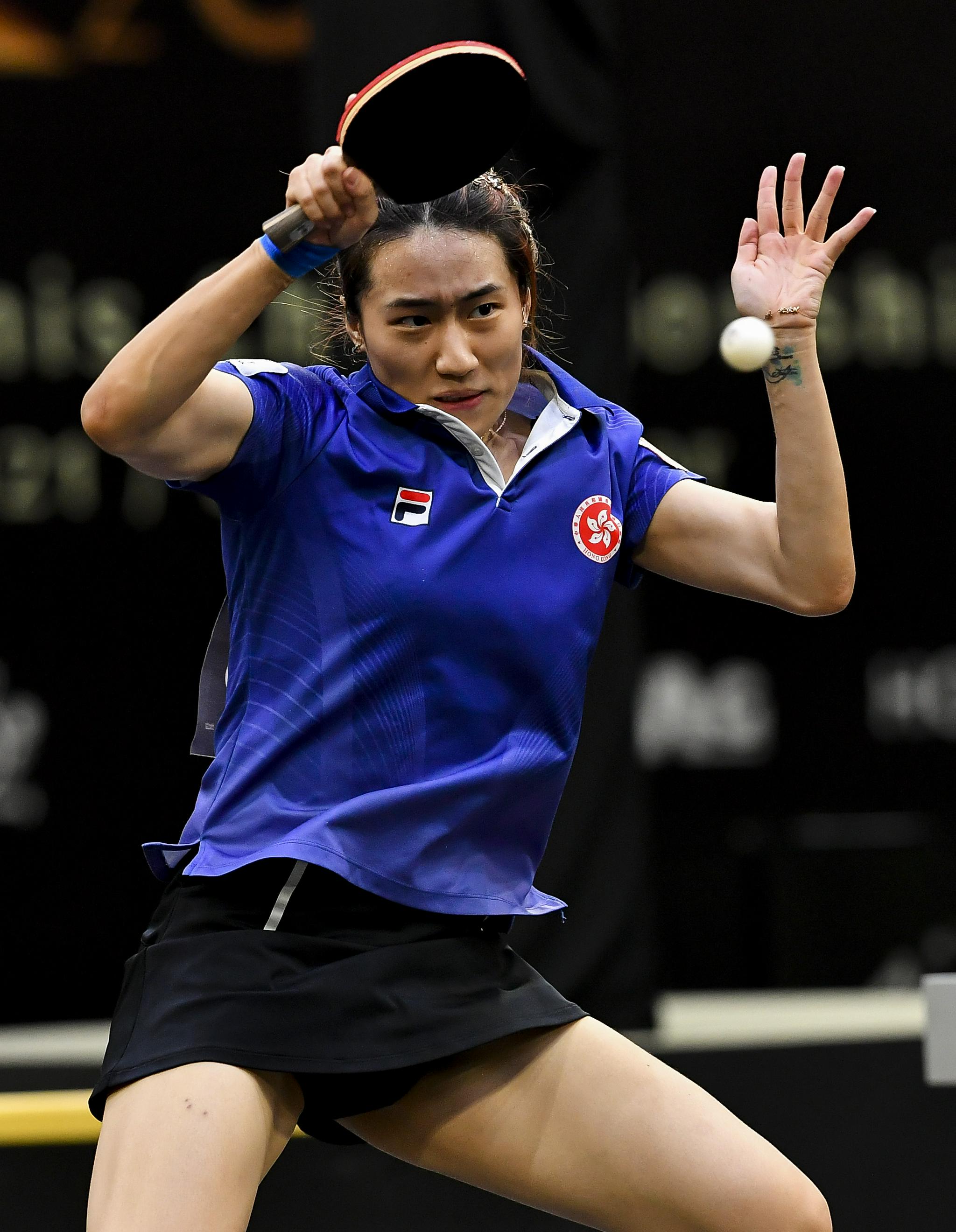 包含球场上的惊心动魄比赛，每一个瞬间都备受期待的词条