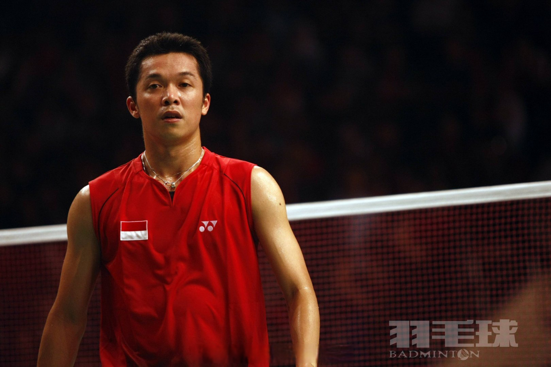 丹麦羽毛球队碾压马来西亚羽毛球队，陶菲克关键制胜的简单介绍