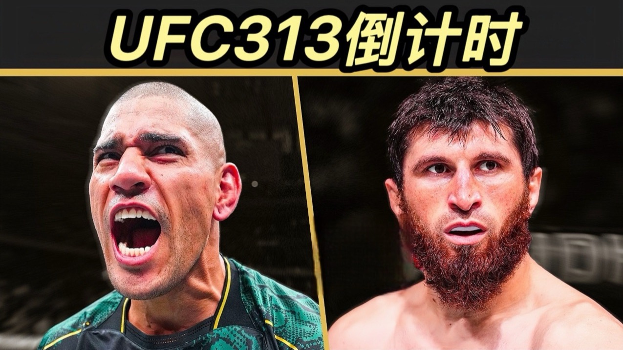 ATP总决赛翻盘年终总决赛,穆雷扛起全队的简单介绍 ATP总决赛翻盘年终总决赛,穆雷扛起全队的简单介绍