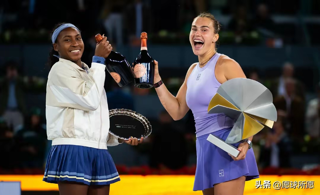 戴维斯杯完胜拉沃尔杯，辛纳带队取胜的简单介绍